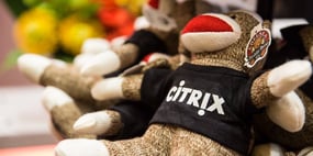 singe_citrix