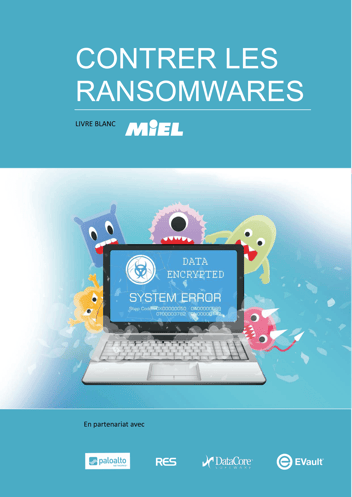 Livre Blanc MIEL - Lutter contre les ransomwares