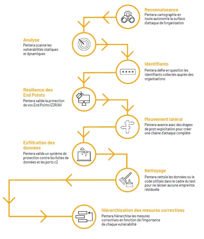 Schema-Comment-ca-marche-Pentera