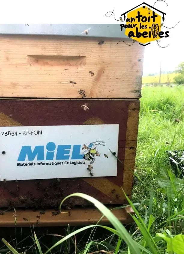 miel_toit_abeilles